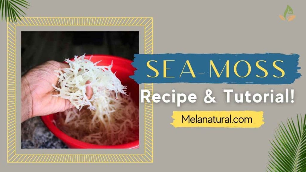 sea moss recipes