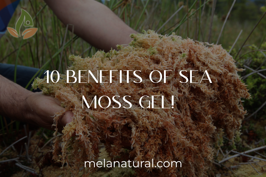 Flawless Skin: 10 Sea Moss Gel Benefits!