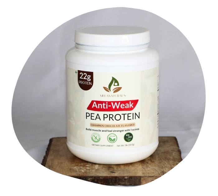 protein plant-based powder
