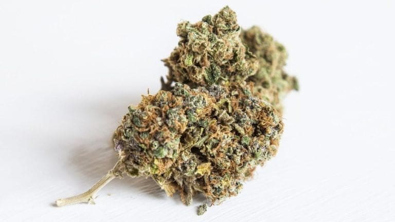 13 Best Weed Strains Of All Time(2023 List)