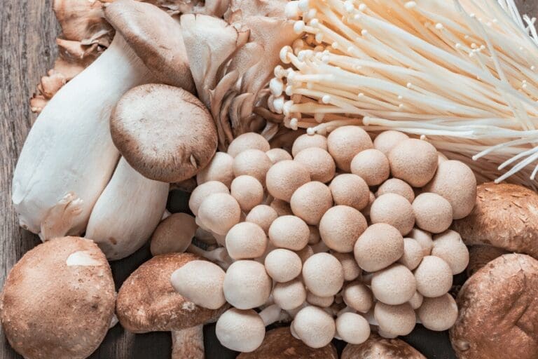 3 Life-Changing Mushrooms For Anxiety