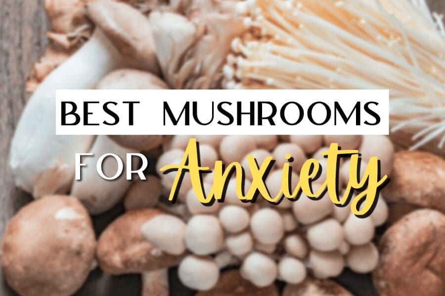 mushrooms for anxiety