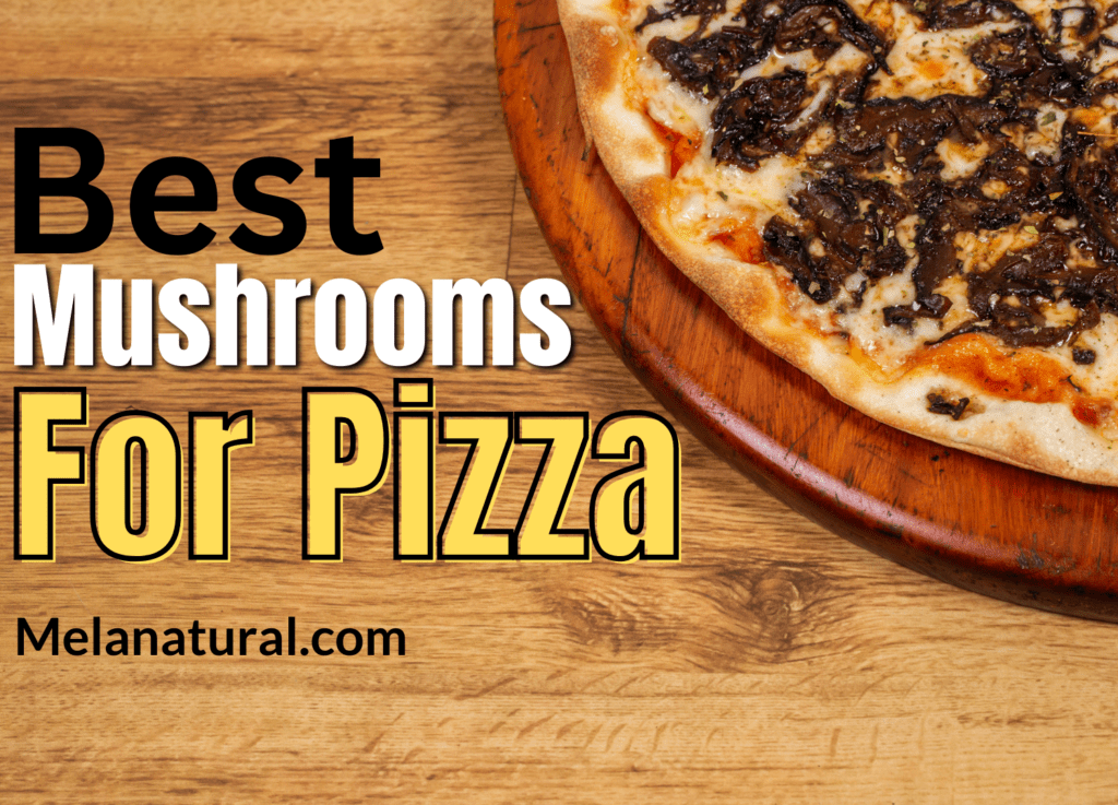 best mushrooms for pizza toppings