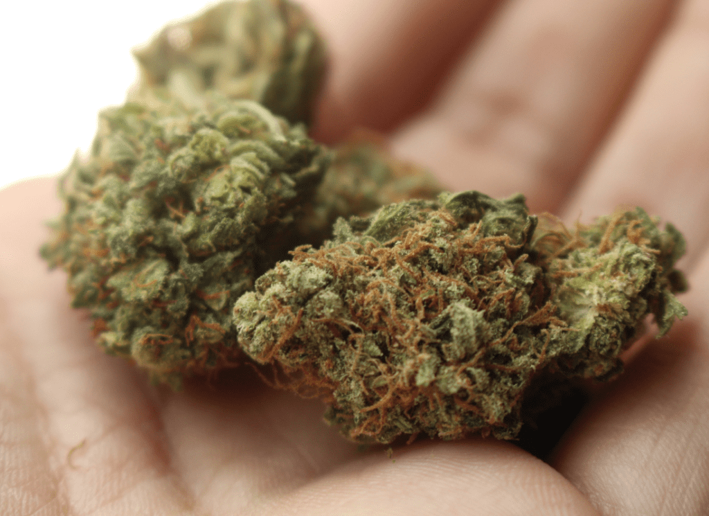 What is healthier sativa or indica? 