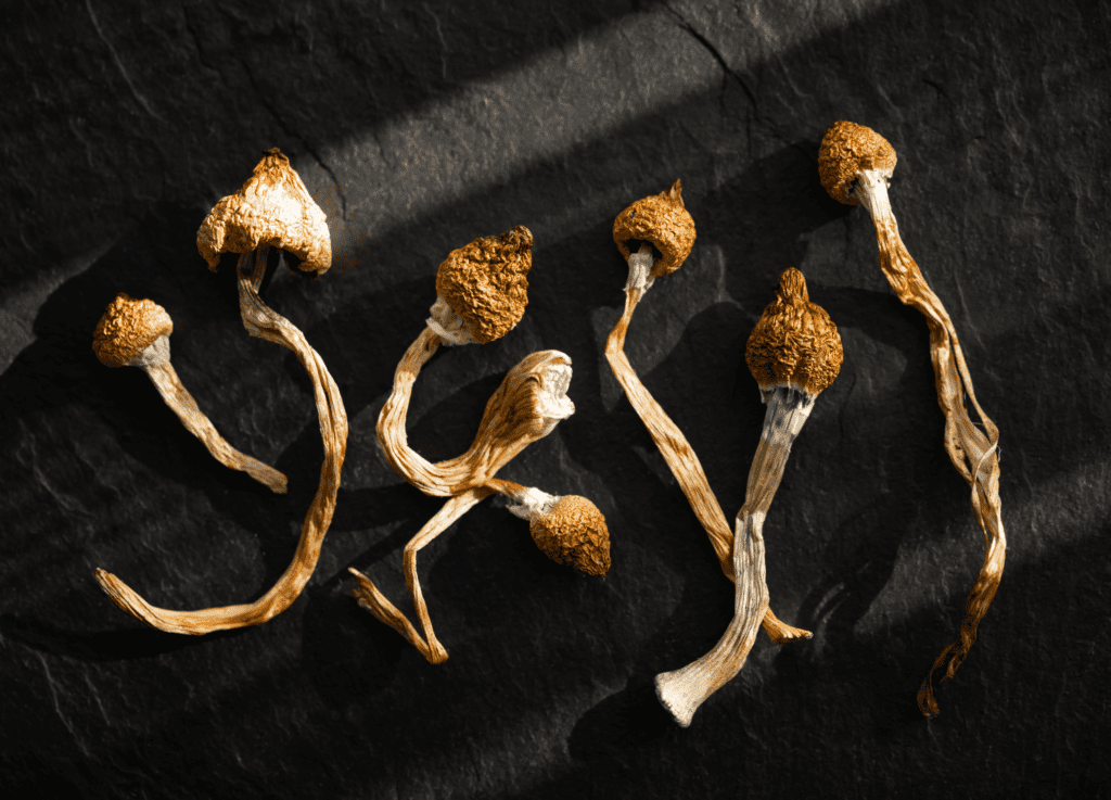 how long do psychedelic mushrooms last?