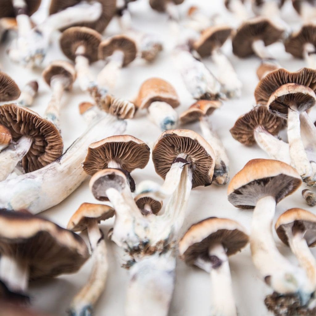 psilocybin mushrooms for depression