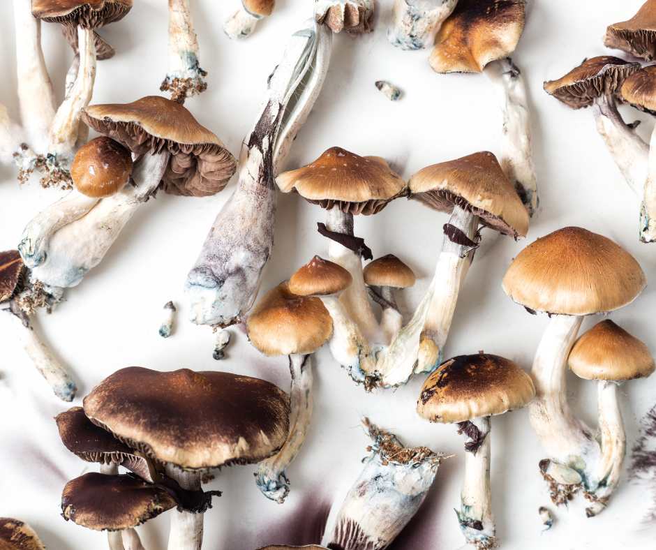 list of psychedelic mushrooms