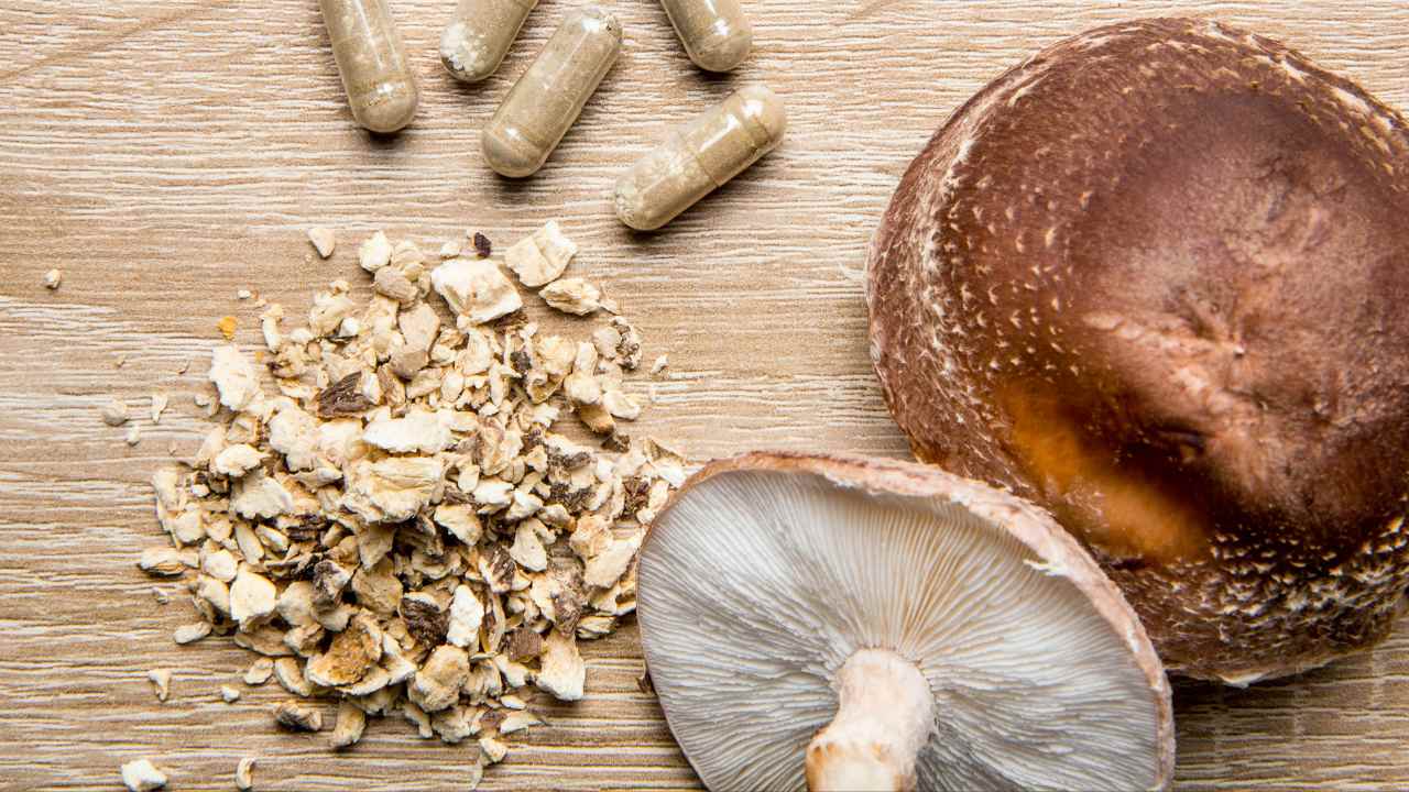 5 Best Mushroom Supplements For Brain Health